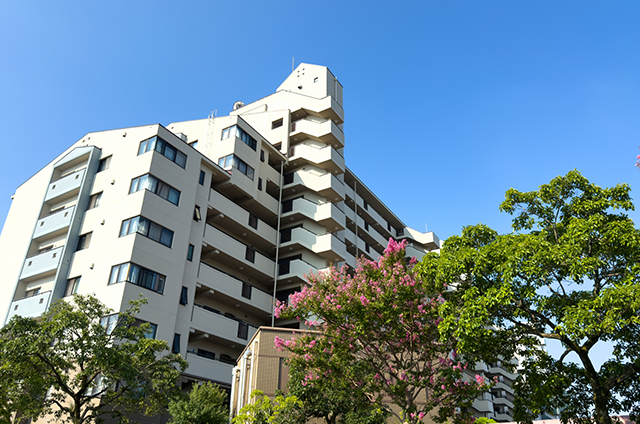 Q241 【個人不動産賃貸】 同族法人を活用した不動産賃貸借/サブリース方式・管理委託方式とは?税務調査上の留意事項